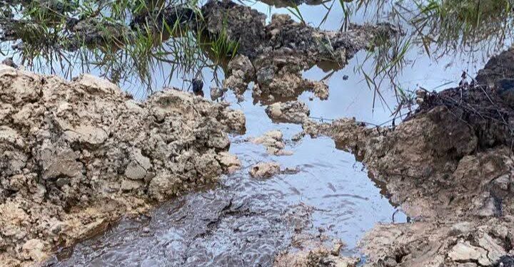 NOSDRA Raises Alarm Over Illegal Oil Waste Disposal in Rivers Communities